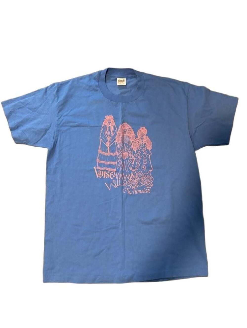 Vintage Anvil Tee Wise, Wild, & Whimsical Graphic T-Shirt
-Womens XL
-Mens Lg